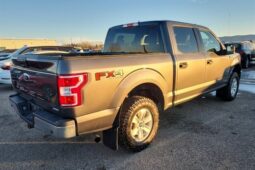 
										2020 Ford F-150 XLT FX4 Crew Cab 4×4 5.0L full									