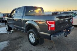
										2020 Ford F-150 XLT FX4 Crew Cab 4×4 5.0L full									