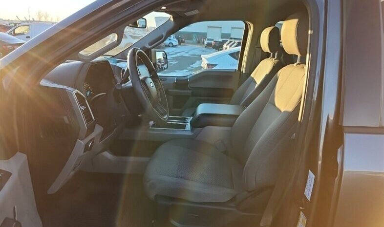 
								2020 Ford F-150 XLT FX4 Crew Cab 4×4 5.0L full									