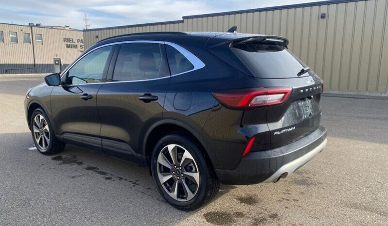 
								2025 Ford Escape Platinum Moonroof AWD full									