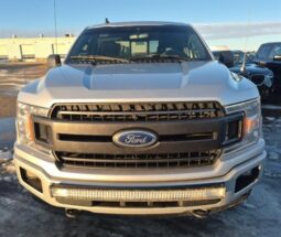 
										2019 Ford F-150 XLT FX4 Sport 5.0L Crew Cab 4×4 full									