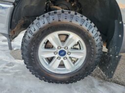 
										2020 Ford F-150 XLT FX4 Crew Cab 4×4 5.0L full									