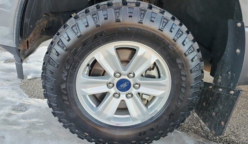 
								2020 Ford F-150 XLT FX4 Crew Cab 4×4 5.0L full									