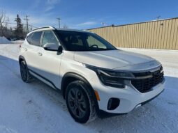 
										2024 Kia Seltos EX Premium Leather Sunroof AWD full									