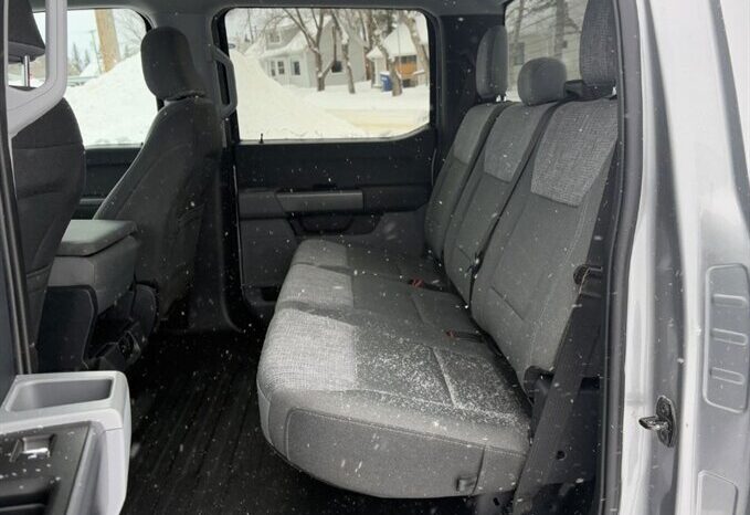 
								2023 Ford F-150 XLT 5.0L Crew Cab 4×4 full									