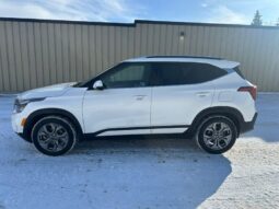 
										2024 Kia Seltos EX Premium Leather Sunroof AWD full									