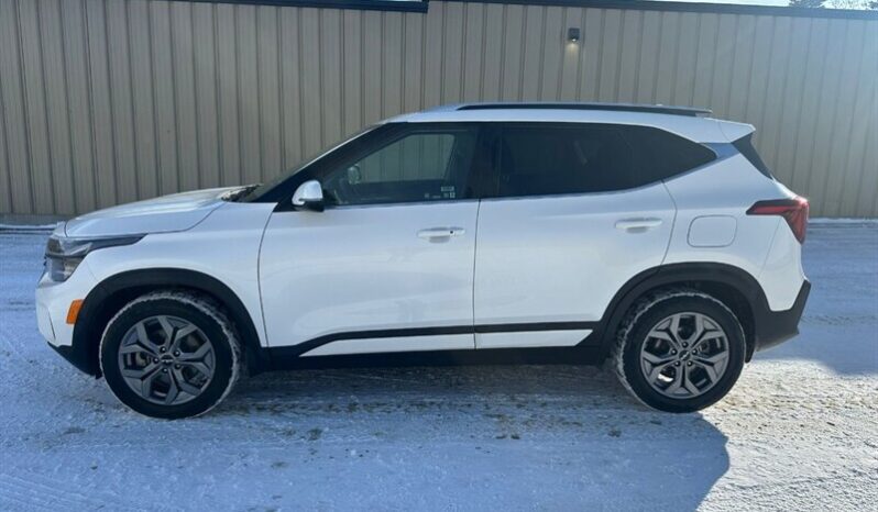 
								2024 Kia Seltos EX Premium Leather Sunroof AWD full									